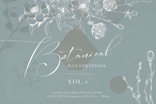 植物学手绘插画第2卷 Botanical Illustrations Vol.2