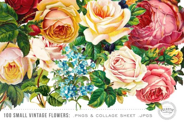 100张复古花卉插画剪贴画 100 Small Vintage Flower Graphics缩略图 100张复古花卉插画剪贴画 100 Small Vintage Flower Graphics