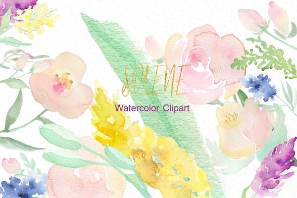 精致柔和的水彩花卉剪贴画合集 Soft pinkWatercolor flowers