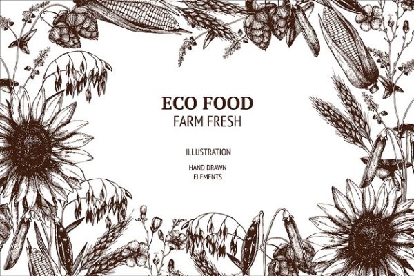 老式矢量农场植物插图 Vector Farm Plants Collection