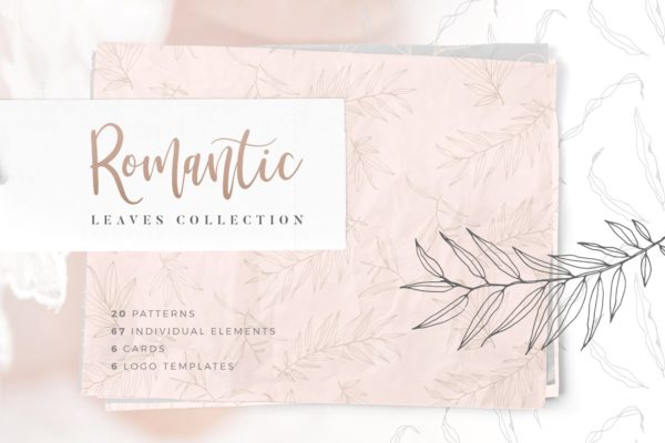 浪漫手绘色彩落叶树枝元素 Hand drawn Leaves Collection