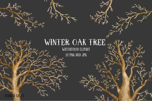 手绘水彩艺术栎树剪贴画 Watercolor Winter Oak Trees