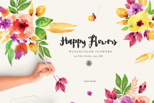 手绘七彩阳光花卉剪贴画 Happy Flowers