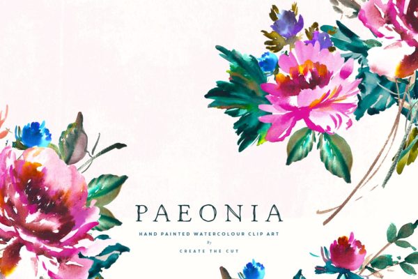 复古手绘水彩白芍花卉剪贴画 Hand Painted Clip Art – Paeonia