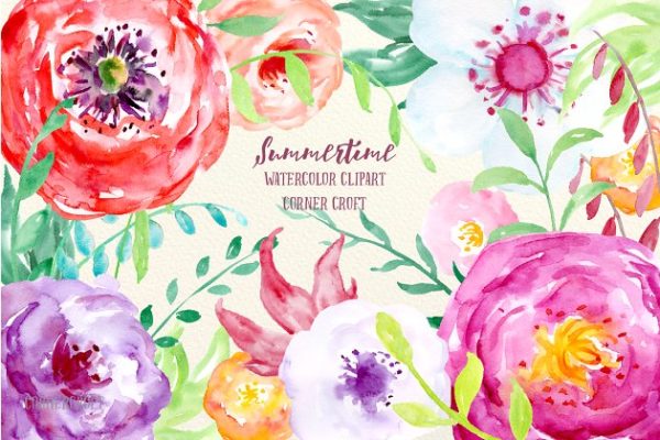 夏季水彩装饰艺术花卉剪贴画 Watercolor Flowers Summertime