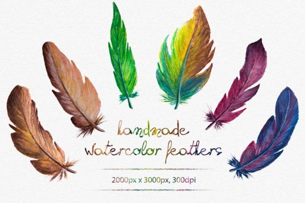 手绘水彩羽毛插画 Watercolor Feathers缩略图 手绘水彩羽毛插画 Watercolor Feathers