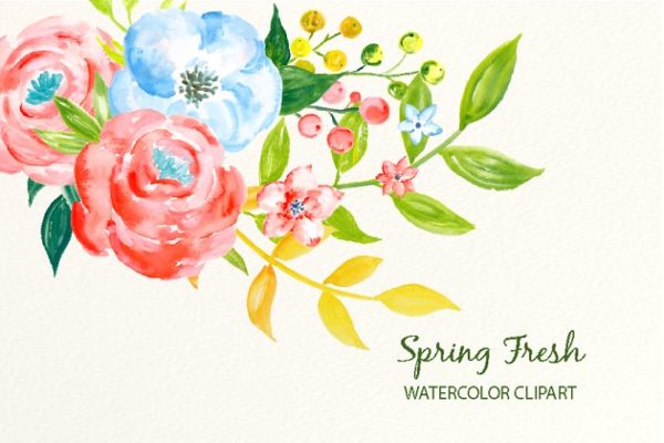 春季新鲜蓝粉色系水彩花卉插画 Watercolor Clipart Spring Fresh缩略图 春季新鲜蓝粉色系水彩花卉插画 Watercolor Clipart Spring Fresh