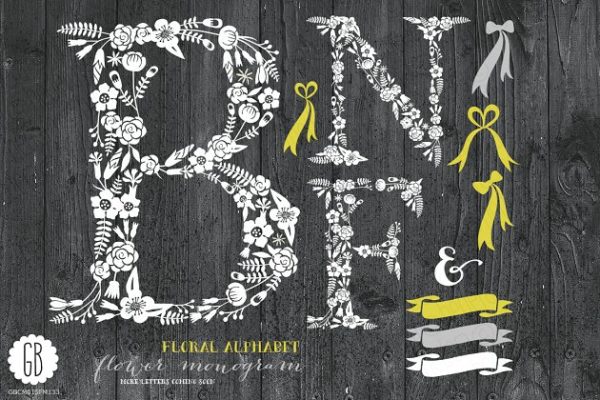 花体英文字母插画素材 Floral letters, rustic, white BNF