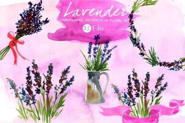 紫色水彩薰衣草插画设计素材 Lavender Set- Watercolor Clip Art