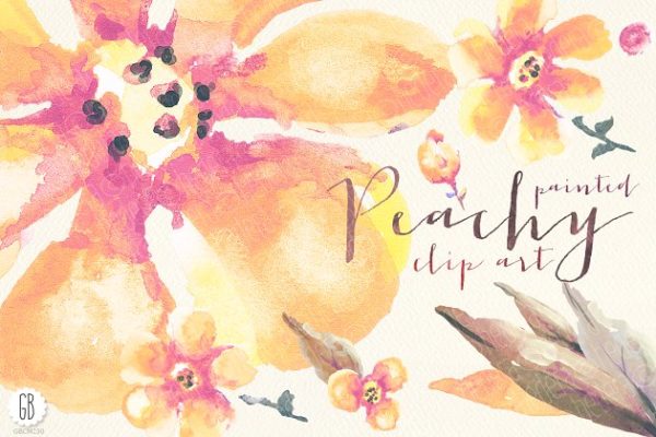 手绘逼真水彩桃花图像花卉设计插画 Aquarelle peach flowers clip art缩略图 手绘逼真水彩桃花图像花卉设计插画 Aquarelle peach flowers clip art
