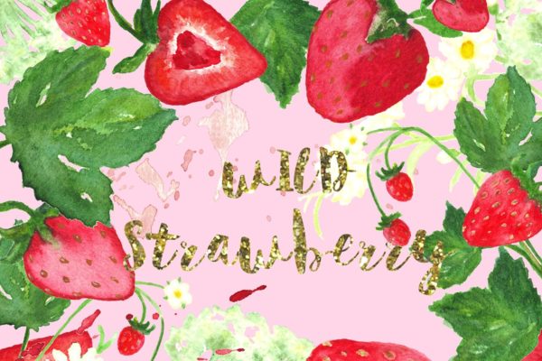浪漫手绘野草莓水彩剪贴画 Wild strawberry watercolor clipart缩略图 浪漫手绘野草莓水彩剪贴画 Wild strawberry watercolor clipart