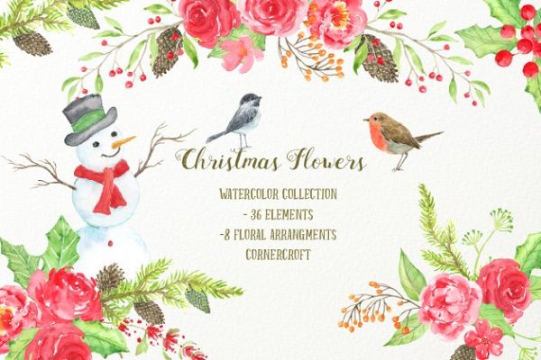 红色圣诞相关主题动植物插画素材 Watercolor Red Christmas