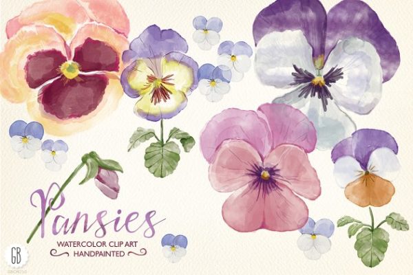 高品质的手绘花卉水彩图案 Watercolor hand painted pansies缩略图 高品质的手绘花卉水彩图案 Watercolor hand painted pansies