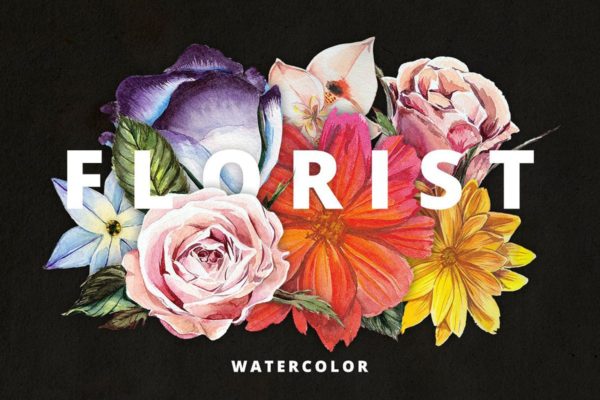 高品质水彩花卉插画合集 Florist: Watercolor Flowers Set缩略图 高品质水彩花卉插画合集 Florist: Watercolor Flowers Set