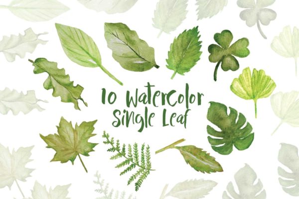 10款水彩单片绿叶插图素材 10 Watercolor Single Leaf Illustration缩略图 10款水彩单片绿叶插图素材 10 Watercolor Single Leaf Illustration