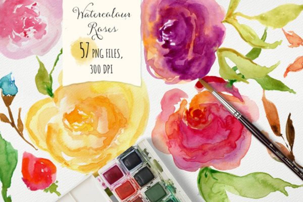 浪漫玫瑰水彩插图素材 Watercolor Roses缩略图 浪漫玫瑰水彩插图素材 Watercolor Roses