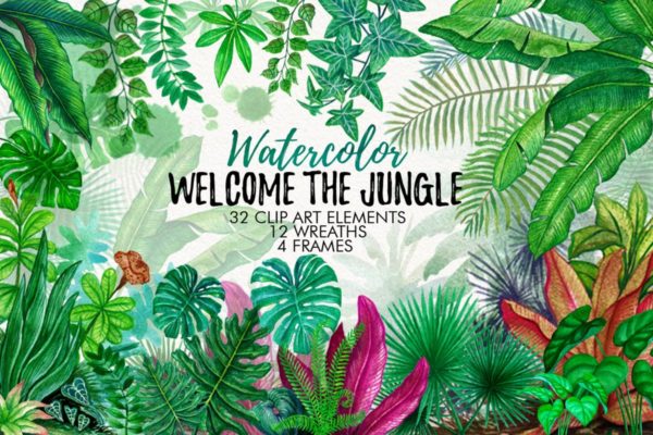 热带雨林水彩手绘树叶插画集 Tropical Leaves in the Jungle