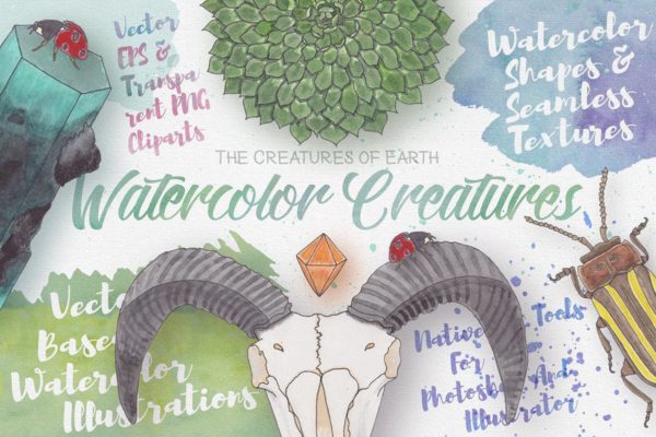 生物系列水彩手绘插画合集Vol.1 Watercolor Creatures vol. 1缩略图 生物系列水彩手绘插画合集Vol.1 Watercolor Creatures vol. 1