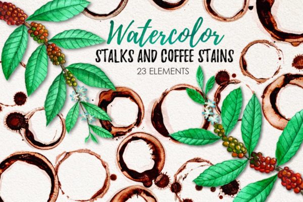 水彩咖啡污渍&咖啡植物插画素材 Watercolor Coffee Stains and Stalks