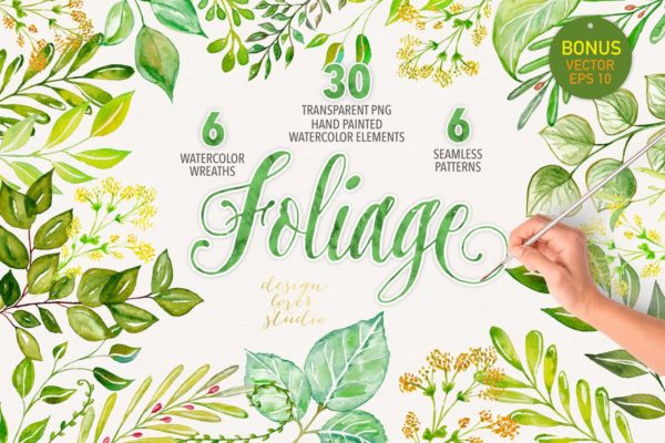 绿色水彩树叶插画合集 Watercolor foliage collection