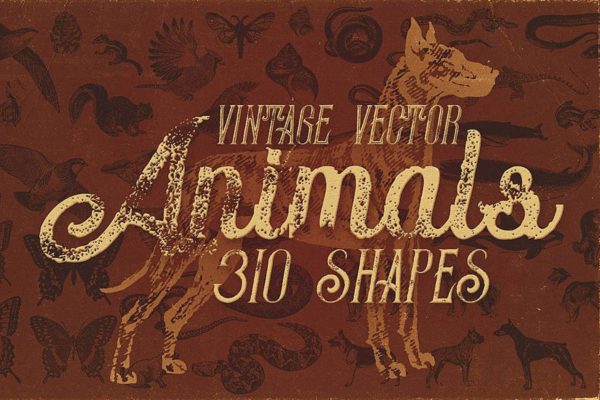 310个复古动物图形矢量插画素材 Vintage Animals Vectors