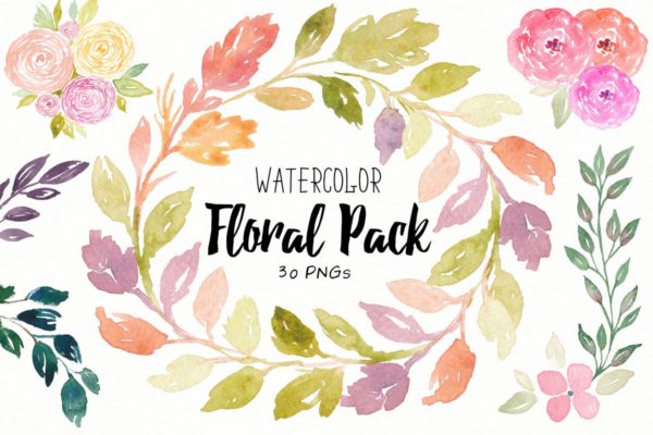 30款花卉&叶子水彩插画合集 Floral Watercolor Collection