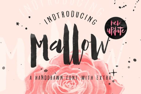 手写英文字体、笔刷&矢量图形 Mallow Typeface & EXTRA Mockup