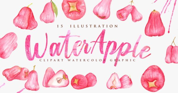15个红苹果水彩插画素材合集 15 Watercolor Red Water Apple Illustration