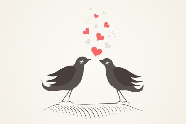 爱情鸟爱心小鸟矢量插画  Love a bird2