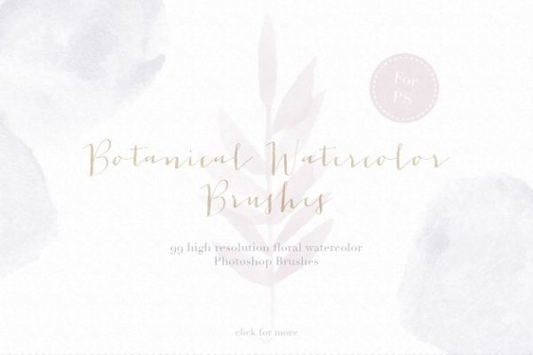 浅灰暗色调花卉元素Photoshop笔刷 Floral Watercolor Photoshop Brushes缩略图 浅灰暗色调花卉元素Photoshop笔刷 Floral Watercolor Photoshop Brushes