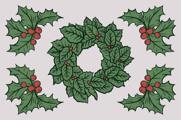 圣诞节浆果&树叶矢量手绘矢量素材 Christmas Autumn Berries Drawing