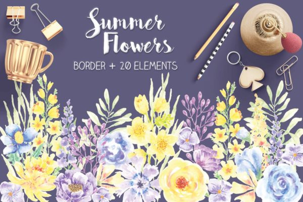 夏天花卉水彩手绘装饰框&设计元素PNG素材 Summer Flowers: Border and Elements in Watercolor