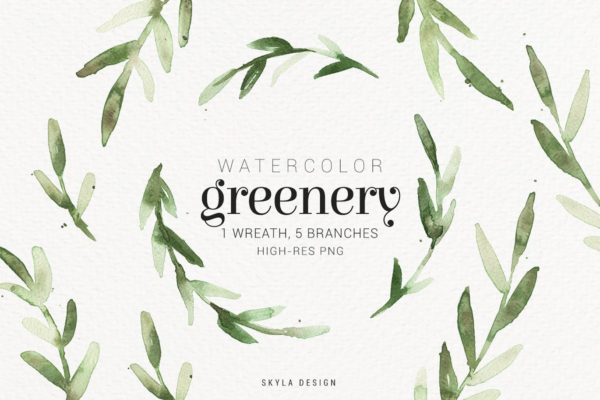 绿色水彩手绘枝叶图案PNG素材 Watercolor greenery