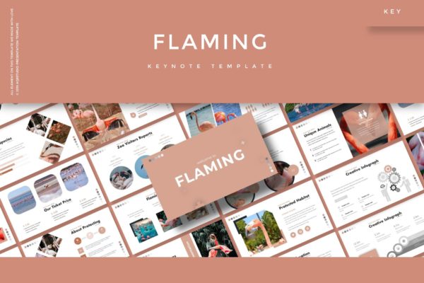 市场调研报告Keynote演示文稿设计模板精选 Flaming – Keynote Template