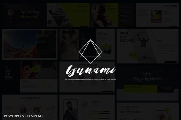 商务企业营销演示高端PPT演示模板下载 Tsunami Powerpoint Presentation