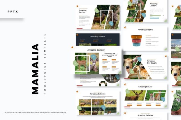 野生动物主题PPT模板设计素材精选 Mamalia – Powerpoint Template
