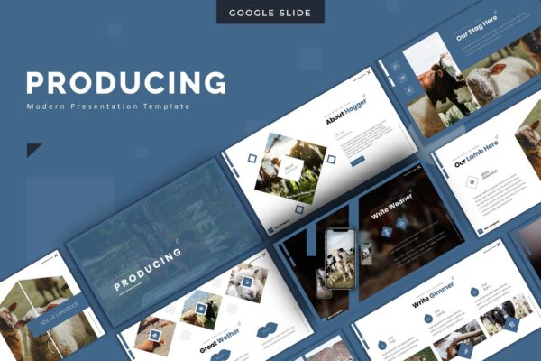 养殖业/牧场宣传Google演示文稿高端模板精选 Producing – Google Slides Template