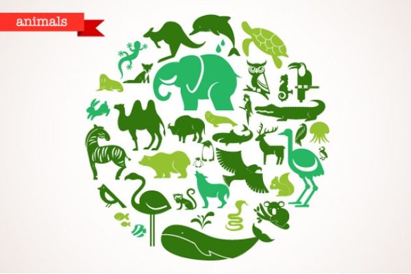 40种动物矢量图标素材 Animals – set of 40 icons
