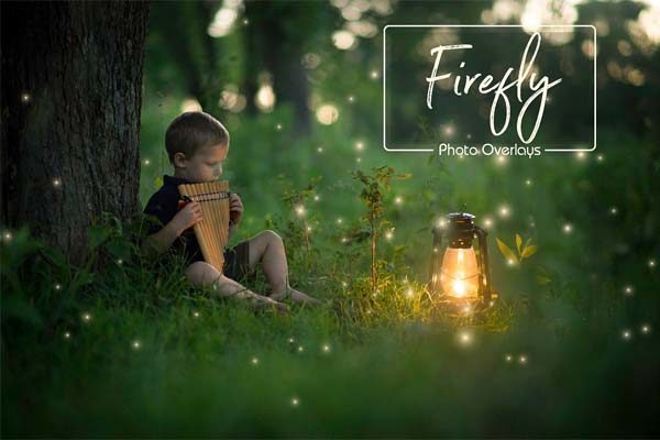 4K高清分辨率神奇萤火虫Photoshop叠层