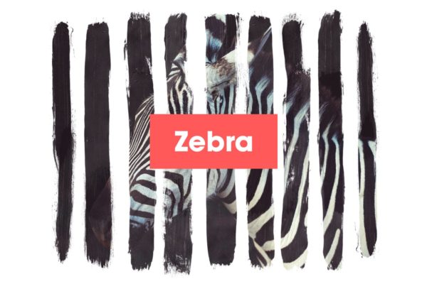 水墨斑马条纹遮罩效果PSD分层设计素材模板 Zebra