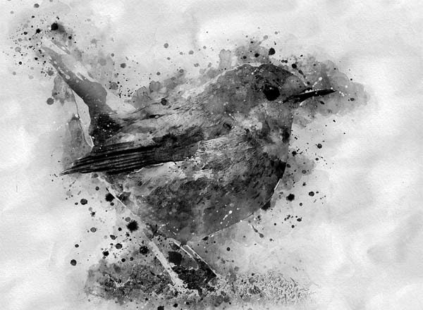 专业多功能水墨风格PS动作工具模板 Ink Art Photoshop Action