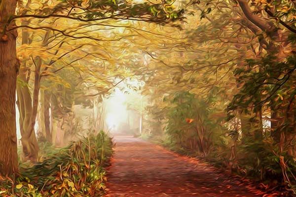 10款人物肖像油画效果的PS动作工具模板 10 Oil Painting Photoshop Action [atn]