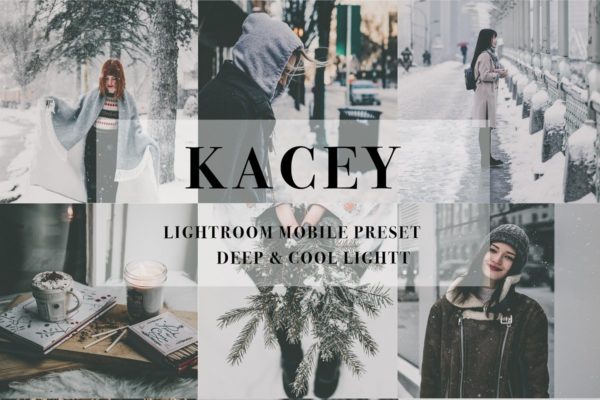 冬季时尚冷光效果Lightroom预设工具素材