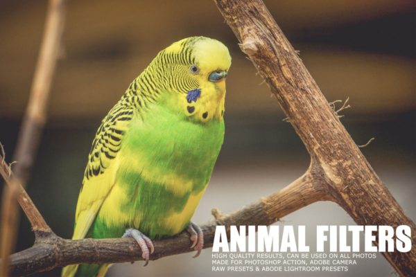 17个动物摄影后期处理滤镜LR预设工具素材 17 Animal Photography Lightroom Presets