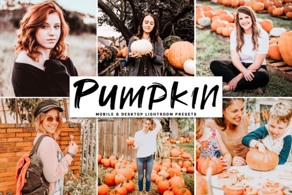 舒适暖色系照片后期处理效果LR预设工具素材下载 Pumpkin Mobile & Desktop Lightroom Presets