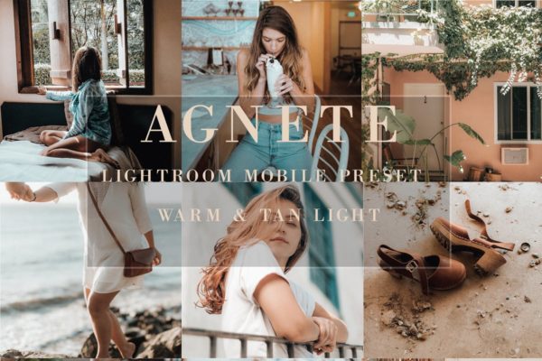 温暖棕褐色效果照片LR预设工具素材