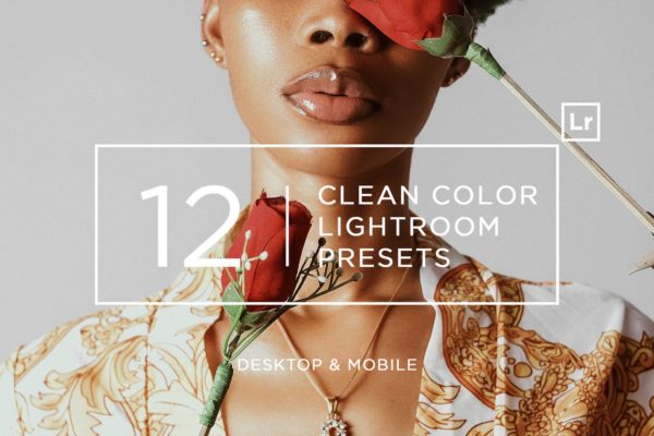 12种现代极简时尚VSCO风格LR调色预设工具素材 12 Clean Color Lightroom Presets + Mobile