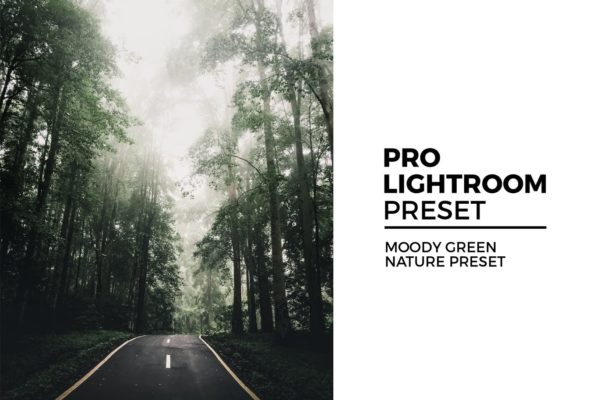 户外风景照片后期处理LR预设工具素材 Moody Green Nature Preset