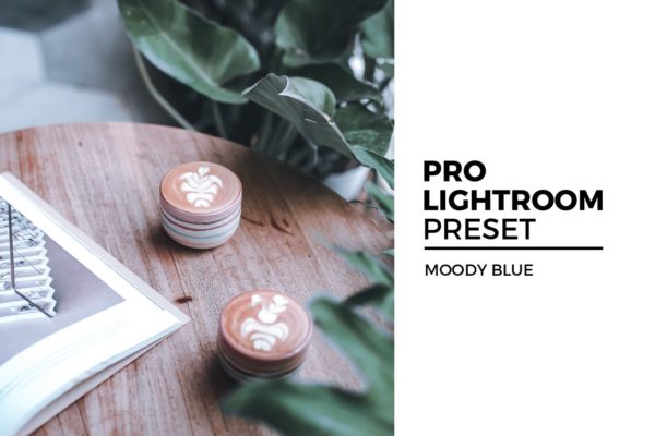 优雅蓝照片后期调色LR预设工具素材 Moody Blue Lightroom Preset