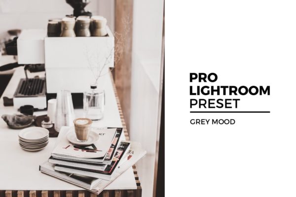照片后期浅色调LR调色预设工具素材 Grey Mood Lightroom Preset